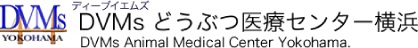 DVMsどうぶつ医療センター横浜